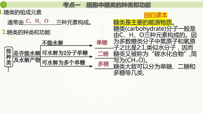 2025届高三生物一轮复习课件第3讲 细胞中的糖类和脂质第1页