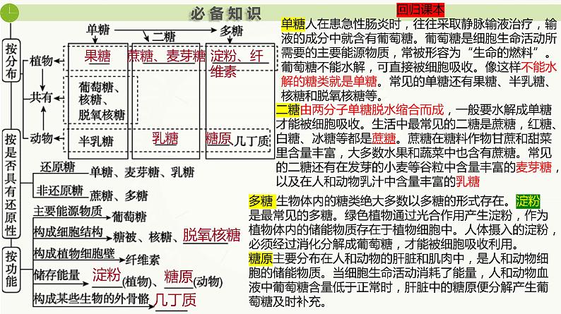 2025届高三生物一轮复习课件第3讲 细胞中的糖类和脂质第2页