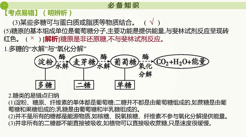 2025届高三生物一轮复习课件第3讲 细胞中的糖类和脂质第4页