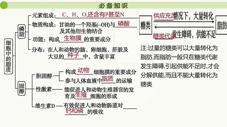 2025届高三生物一轮复习课件第3讲 细胞中的糖类和脂质第6页