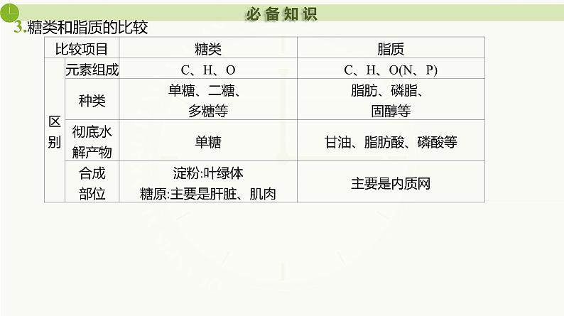 2025届高三生物一轮复习课件第3讲 细胞中的糖类和脂质第7页