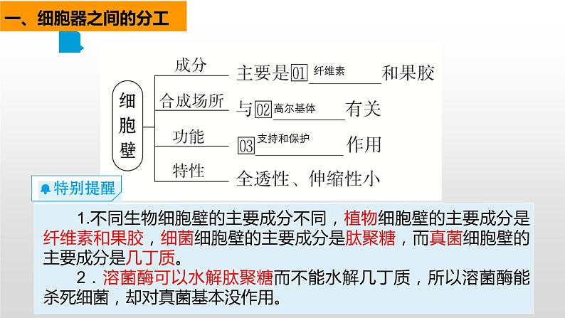 2025届高三生物一轮复习课件第5讲 细胞器和生物膜系统02