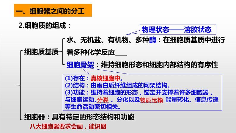 2025届高三生物一轮复习课件第5讲 细胞器和生物膜系统03