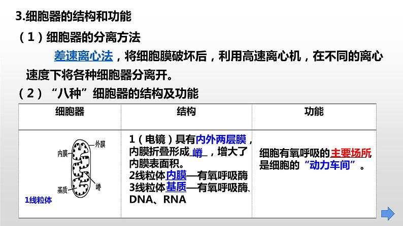 2025届高三生物一轮复习课件第5讲 细胞器和生物膜系统04