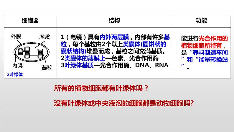 2025届高三生物一轮复习课件第5讲 细胞器和生物膜系统06