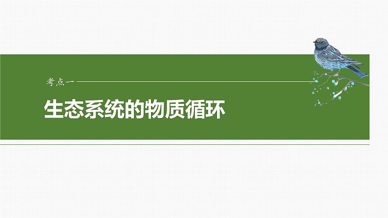 2025届高三生物一轮复习课件第53课时　生态系统的物质循环、信息传递04