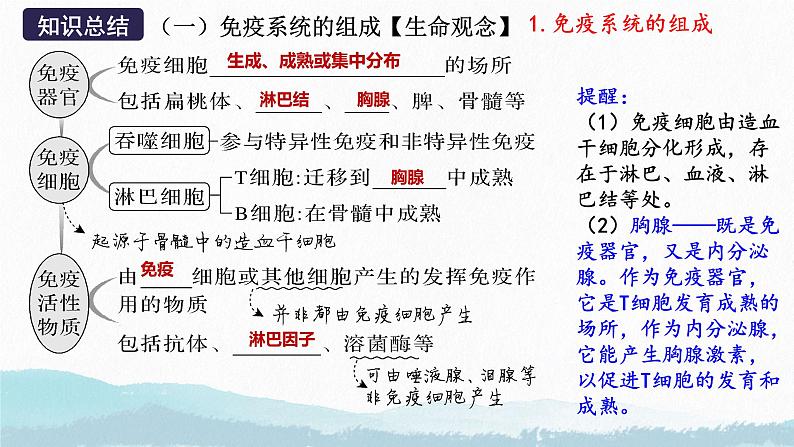 2025届高三生物一轮复习课件第四讲 人体的免疫调节第7页