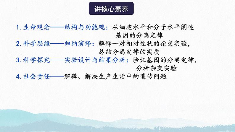 2025届高三生物一轮复习课件第一讲 基因的分离定律第3页