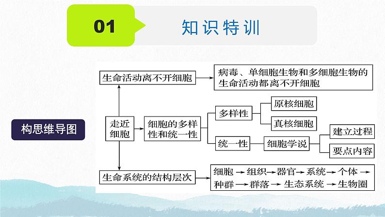 2025届高三生物一轮复习课件第一讲 走近细胞第7页