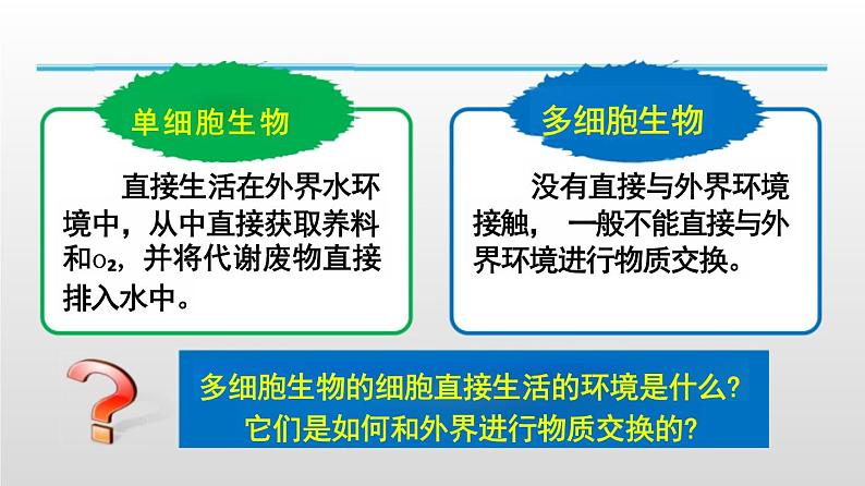 2025届高三生物一轮复习课件人体的内环境与稳态第6页