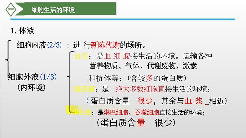 2025届高三生物一轮复习课件人体的内环境与稳态第8页