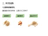 2025届高三生物一轮复习课件微专题2：种子