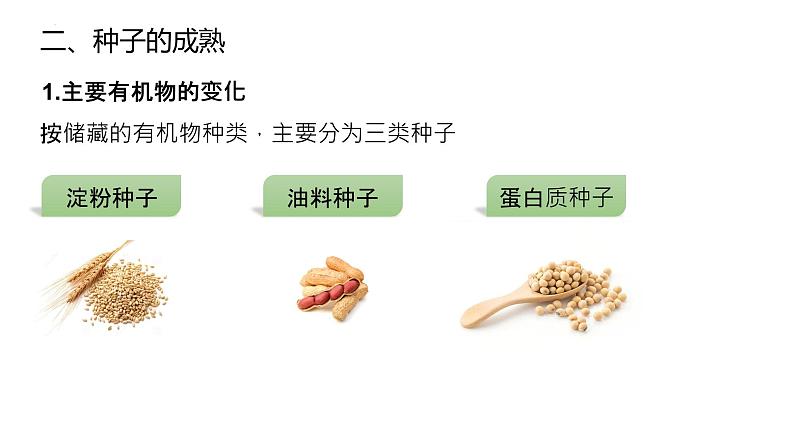 2025届高三生物一轮复习课件微专题2：种子第5页