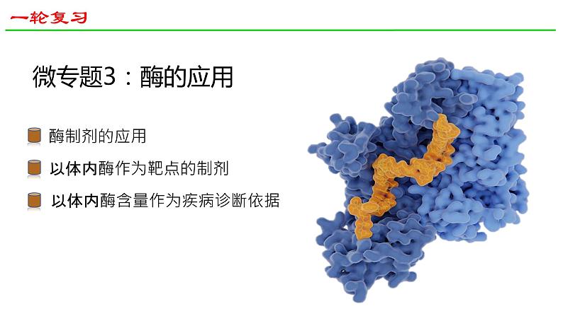 2025届高三生物一轮复习课件微专题3：酶的应用01