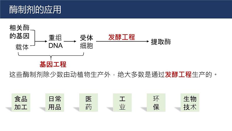 2025届高三生物一轮复习课件微专题3：酶的应用02