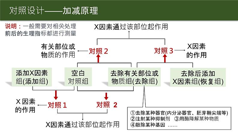 2025届高三生物一轮复习课件微专题4：实验设计中的对照设计第2页