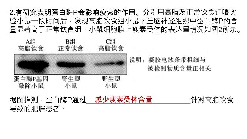 2025届高三生物一轮复习课件微专题4：实验设计中的对照设计第4页