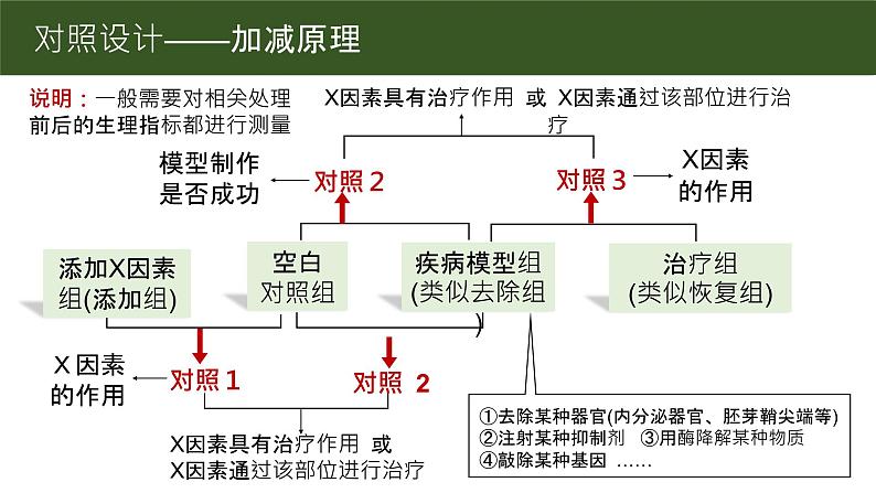 2025届高三生物一轮复习课件微专题4：实验设计中的对照设计第5页