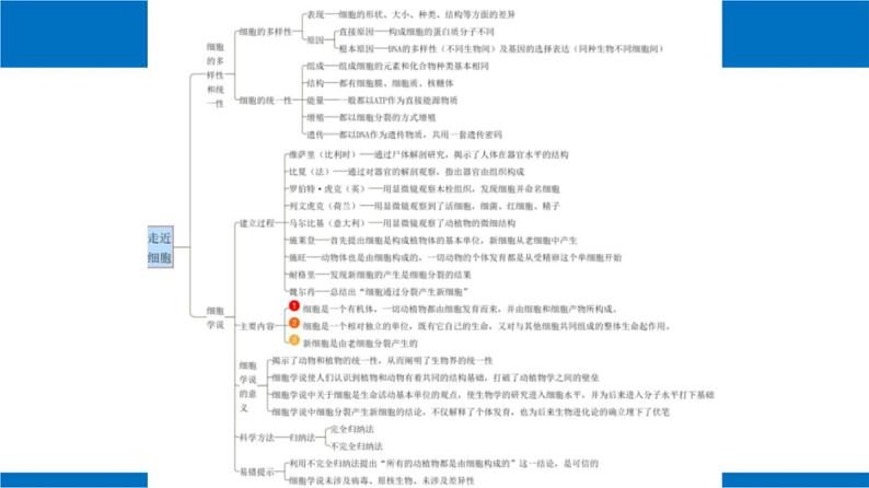 2025届高三生物一轮复习课件细胞及其多样性和统一性第3页