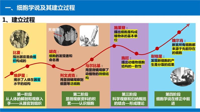 2025届高三生物一轮复习课件细胞及其多样性和统一性第6页