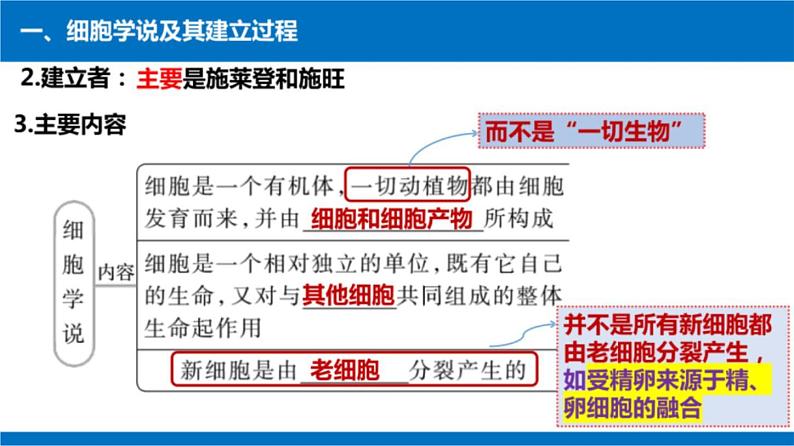 2025届高三生物一轮复习课件细胞及其多样性和统一性第7页