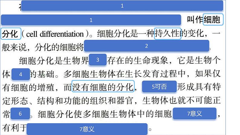 2025届高三一轮复习生物：课本图片遮盖重点巩固基础- 细胞的分化、衰老、凋亡课件第5页