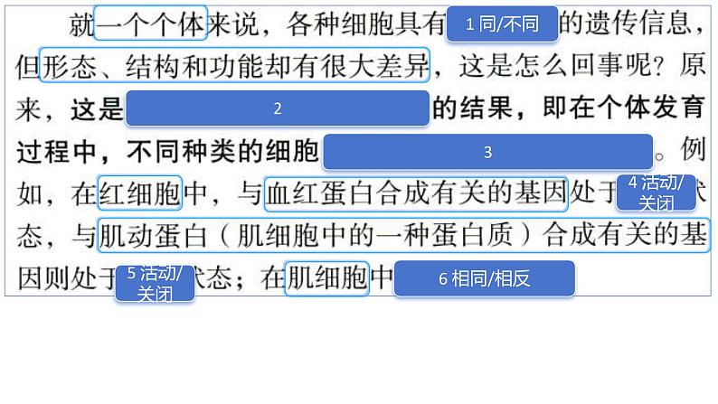 2025届高三一轮复习生物：课本图片遮盖重点巩固基础- 细胞的分化、衰老、凋亡课件第6页