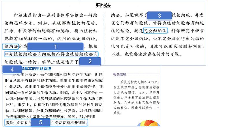 2025届高三一轮复习生物：课本图片遮盖重点巩固基础：细胞的分子组成课件04