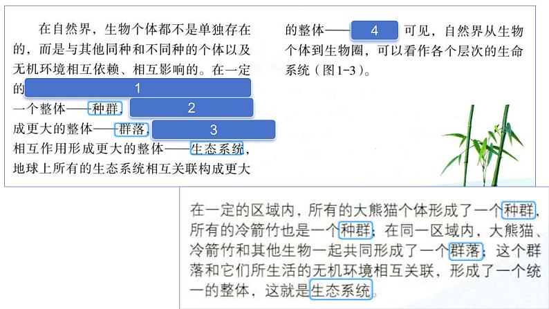 2025届高三一轮复习生物：课本图片遮盖重点巩固基础：细胞的分子组成课件06