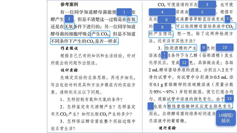 2025届高三一轮复习生物：课本图片遮盖重点巩固基础-呼吸作用课件第3页