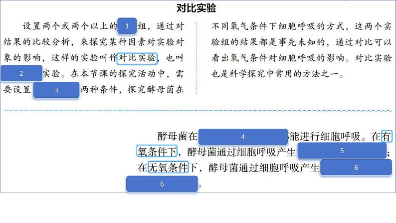 2025届高三一轮复习生物：课本图片遮盖重点巩固基础-呼吸作用课件第5页