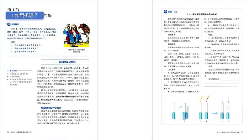 2025届高三一轮复习生物：课本图片遮盖重点巩固基础-酶&ATP课件第2页