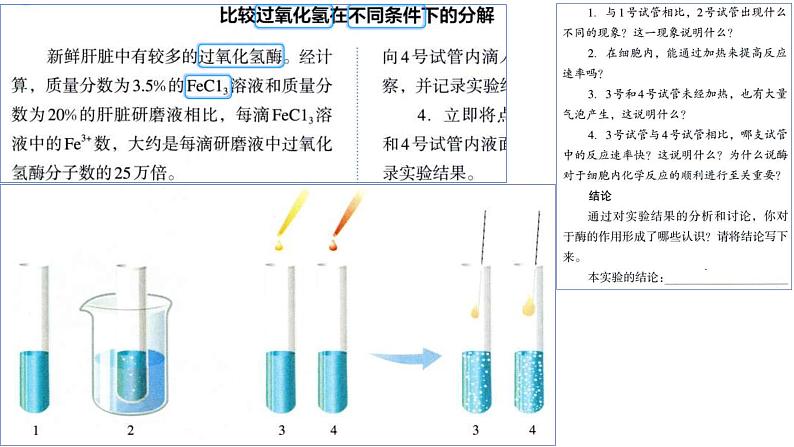 2025届高三一轮复习生物：课本图片遮盖重点巩固基础-酶&ATP课件第4页