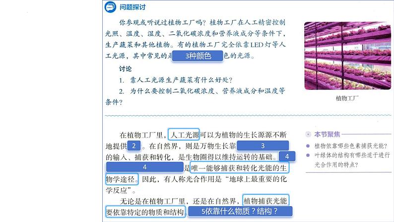 2025届高三一轮复习生物：课本图片遮盖重点巩固基础-光合作用课件第2页