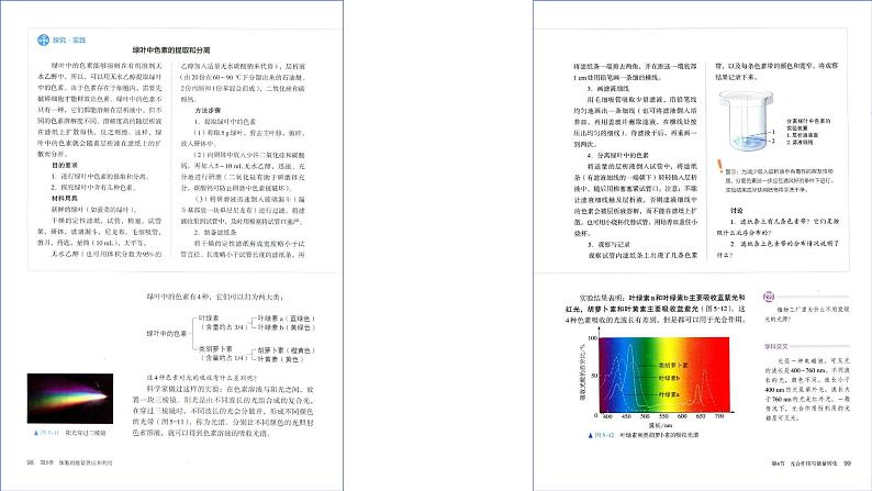 2025届高三一轮复习生物：课本图片遮盖重点巩固基础-光合作用课件第4页