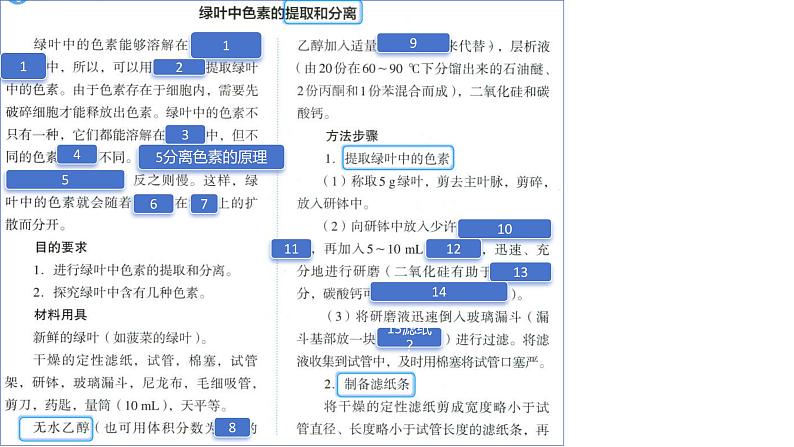 2025届高三一轮复习生物：课本图片遮盖重点巩固基础-光合作用课件第5页