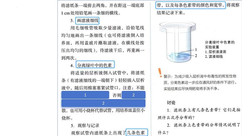 2025届高三一轮复习生物：课本图片遮盖重点巩固基础-光合作用课件第6页