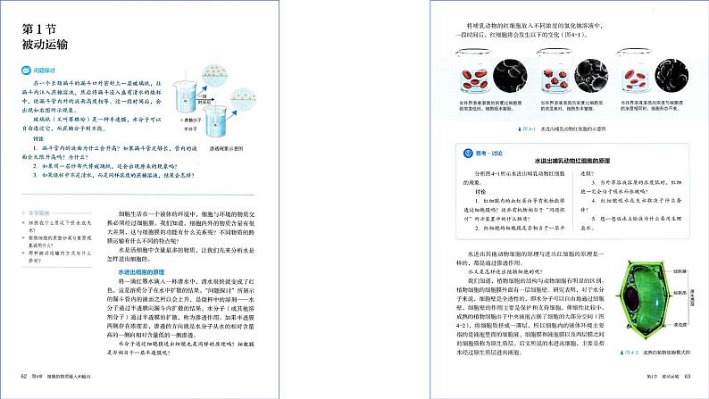 2025届高三一轮复习生物：课本图片遮盖重点巩固基础-物质的输入和输出课件02