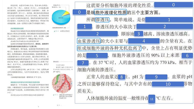 2025届高三一轮复习生物：课本图片遮盖重点巩固基础-物质的输入和输出课件04