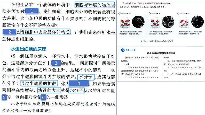 2025届高三一轮复习生物：课本图片遮盖重点巩固基础-物质的输入和输出课件05