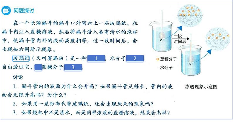 2025届高三一轮复习生物：课本图片遮盖重点巩固基础-物质的输入和输出课件06