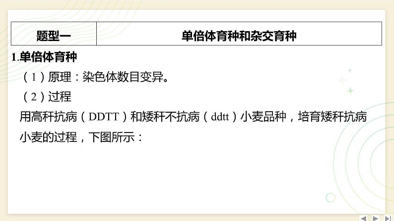 2025届高三一轮复习生物：拓展性微专题（六）　生物育种的原理和方法课件第2页