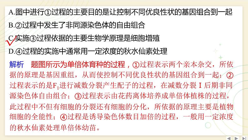 2025届高三一轮复习生物：拓展性微专题（六）　生物育种的原理和方法课件第5页