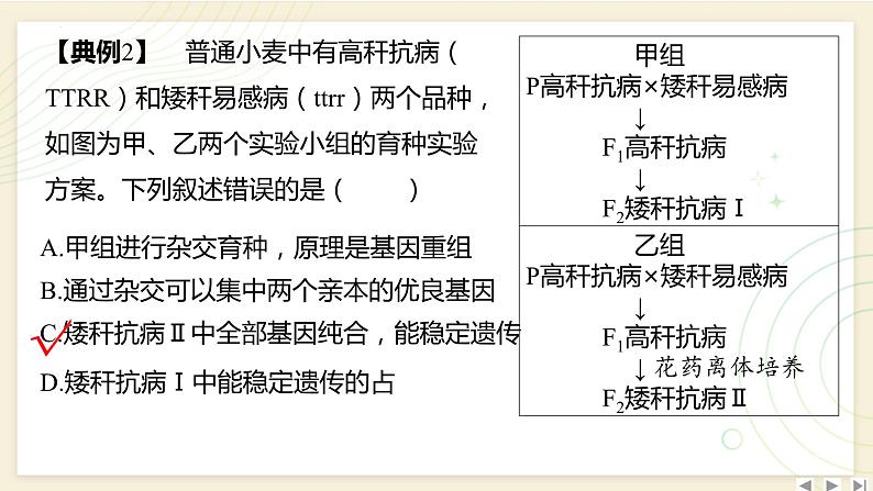 2025届高三一轮复习生物：拓展性微专题（六）　生物育种的原理和方法课件第6页