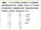 2025届高三一轮复习生物：拓展性微专题（五）　DNA复制与细胞分裂中的染色体标记问题课件