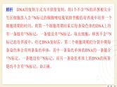 2025届高三一轮复习生物：拓展性微专题（五）　DNA复制与细胞分裂中的染色体标记问题课件