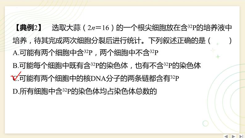 2025届高三一轮复习生物：拓展性微专题（五）　DNA复制与细胞分裂中的染色体标记问题课件06