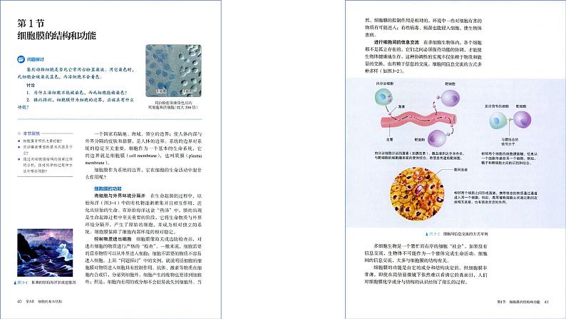 2025届高三一轮复习生物：课本图片遮盖重点巩固基础-细胞的基本结构课件02