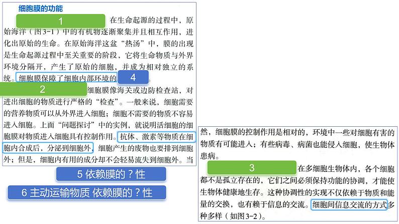 2025届高三一轮复习生物：课本图片遮盖重点巩固基础-细胞的基本结构课件04