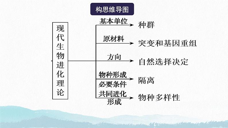 20253届高三生物一轮复习课件第三讲 生物的进化第4页